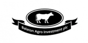 Logo: Balton.PNG
