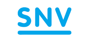 snv home page.png